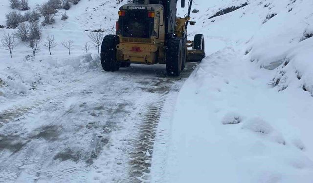 Bitlis İl Özel İdaresinden karla mücadele çalışması