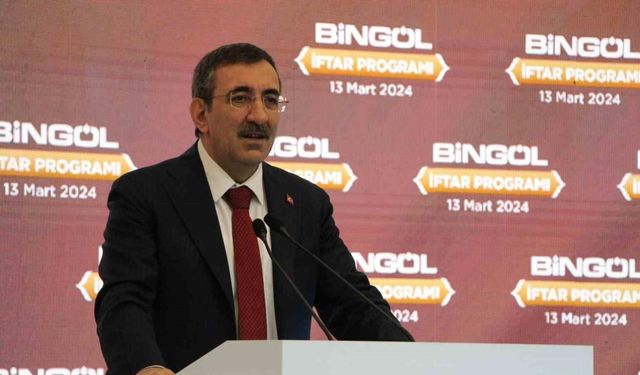 Cumhurbaşkanı Yardımcısı Yılmaz: "2026’da yeniden tek rakamlı enflasyon rakamlarına ulaşacağız”