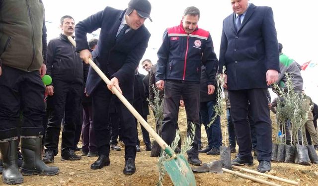 Dünya Ormancılık Günü’nde huzurevi bahçesine 2 bin fidan dikildi