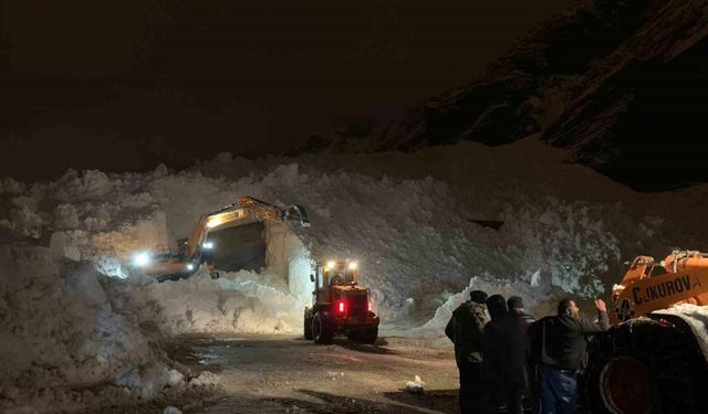 Hakkari-Çukurca karayoluna düşen çığlar ekipleri teyakkuza geçirdi