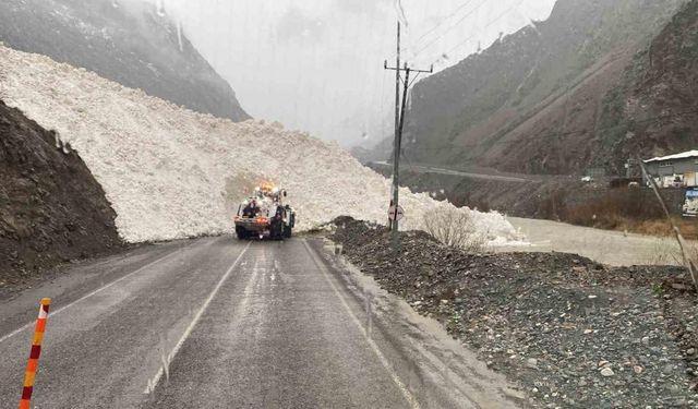 Hakkari-Şırnak yoluna çığ indi