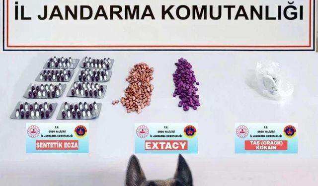 Jandarmanın uyuşturucu operasyonunda 1 tutuklama