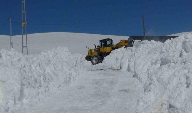 Kars’ta kar geçit vermiyor. 29 köy yolu ulaşıma kapandı