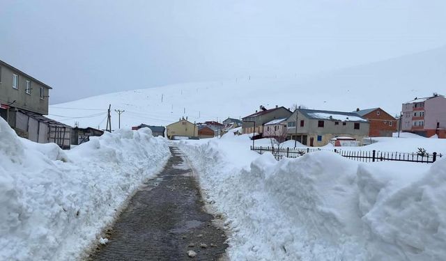 Kazıkbeli Yaylası ve 5 köyün yolu seçim hazırlıkları için erken açıldı