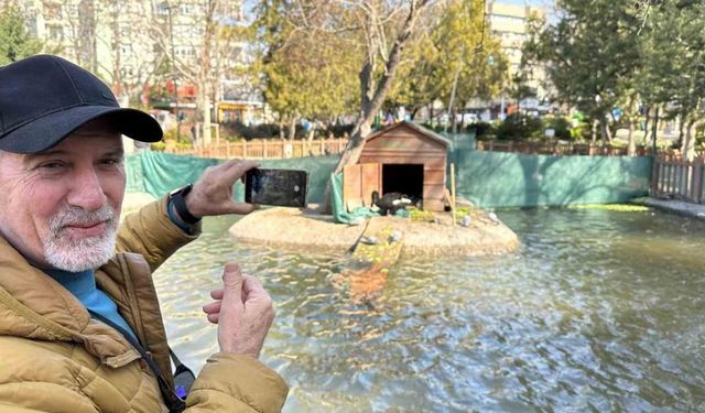 Kuğulu Park’ın yeni dünyaya gelen yavru siyah kuğularına yoğun ilgi