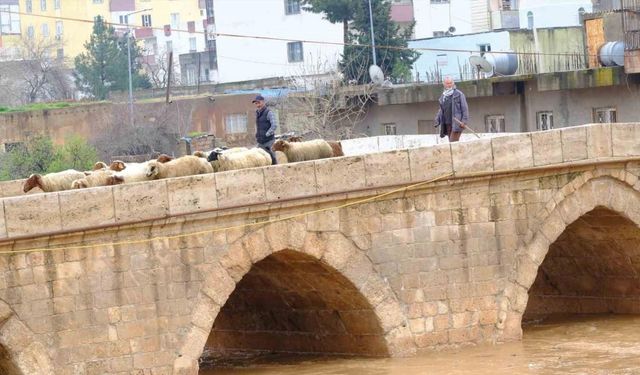 Mardin’de yağışla birlikte tarihi Dunaysır Köprüsü’nün debisi yükseldi