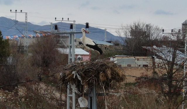 Mesken tuttukları köye bu yıl da geldiler