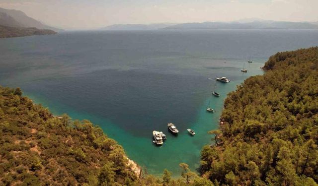 Muğla Büyükşehir 202 çevre davası açtı