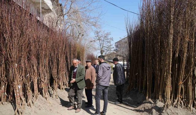 Muş’ta fidan satışları başladı