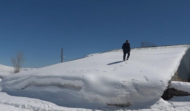 Muş’ta tek katlı evler ve ahırlar kara gömüldü