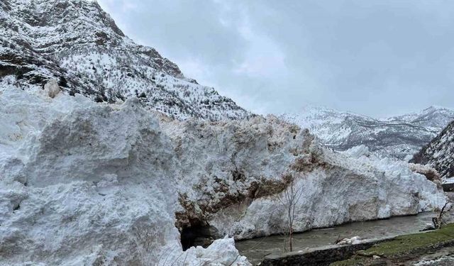 Pervari-Çatak yolu çığ nedeniyle ulaşıma kapandı