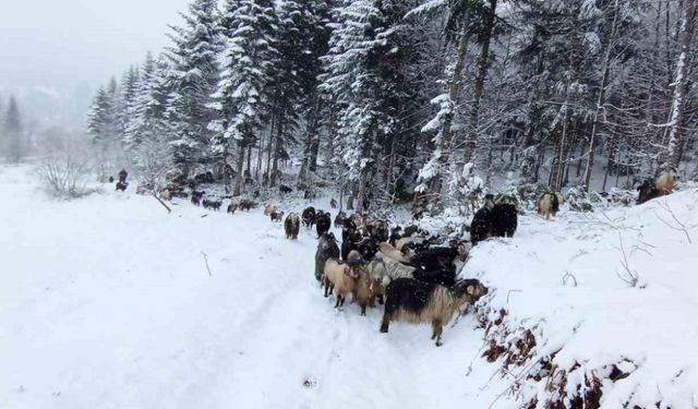 Sakarya’nın yüksek kesimleri beyaz gelinliğini giydi