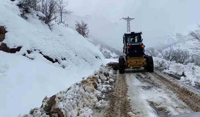 Şırnak’ta kar yağışı hayatı olumsuz etkiledi