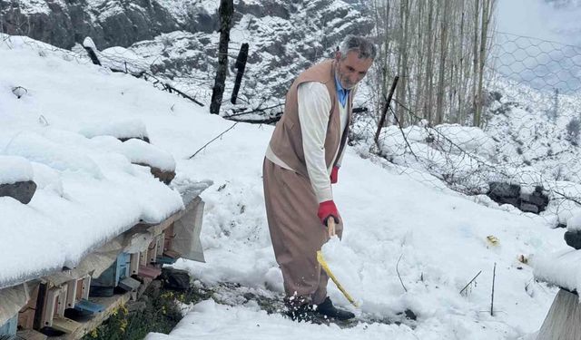 Şırnak’ta yalancı bahar, bal arılarını vurdu