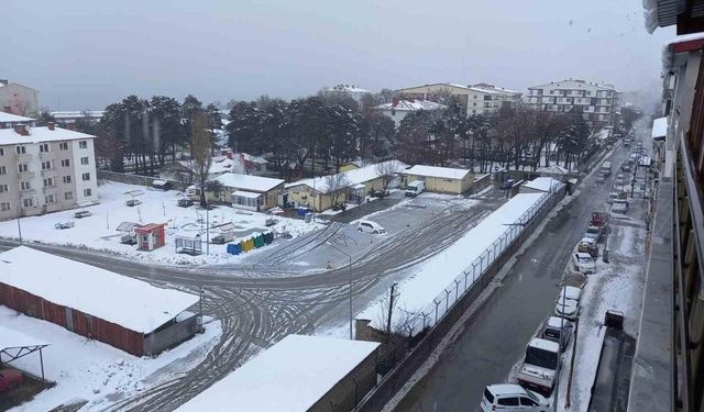 Tatvan’da kar yağışı hayatı olumsuz etkiliyor