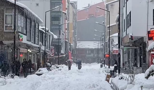 Tatvan’da okullar tatil edildi