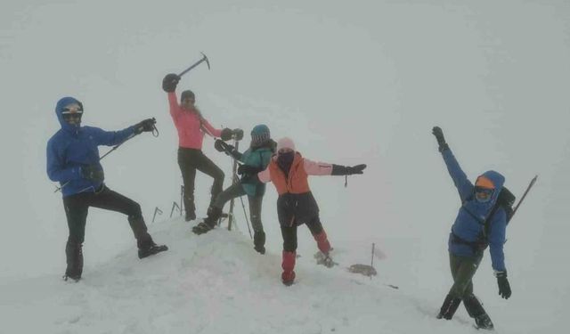 Van Gölü’ne dikkat çekmek için Berit Dağı’na tırmandılar