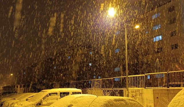 Van’da mart ayında lapa lapa kar yağdı