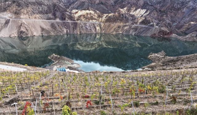 Yeni Yusufeli’nde sosyo ekonomik hayat yeniden inşa ediliyor