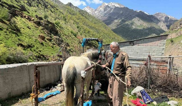 20 yıldır nalbantlık yapan usta, at ve katırların ayak bakımlarını yapıyor