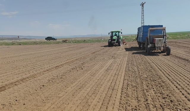 Adilcevaz’da şeker pancarı ekimine başlandı