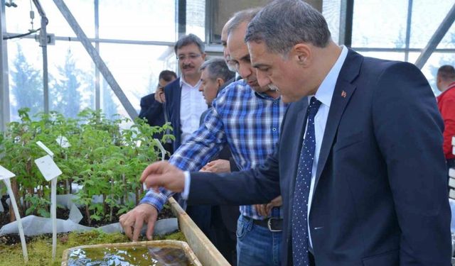 Ahi Evran Üniversitesi’nde ’Dut Bahçesi Tesisi Kurulum’ Projesi Hayata Geçiriliyor