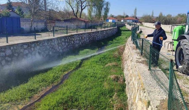 Alaca Belediyesi’nden haşere ile mücadele