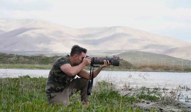 Aladağlar Milli Parkı ve Niğde Akkaya Barajı, kuş fotoğrafçılarının mekanı oldu