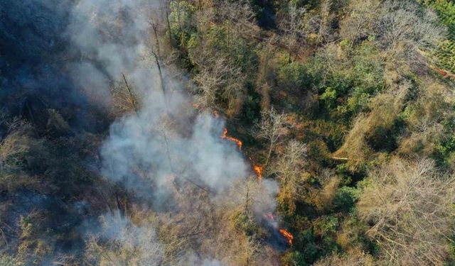 Artvin’de çıkan orman yangınında bir kişi gözaltına alındı