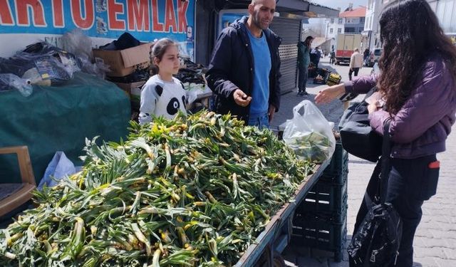 Baharın müjdeleyicisi gülbahar bitkisi tezgâhlarda yerini aldı