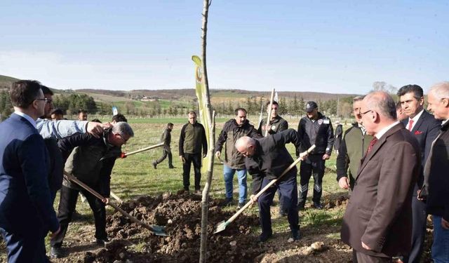 Bin 500 fidan toprakla buluşturuldu