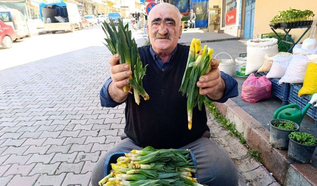 Bin bir zahmetle toplanıyor, vatandaşlar yoğun talep gösteriyor