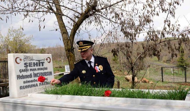 Bingöl’de emniyet mensupları, şehit kabirlerine karanfil bıraktı