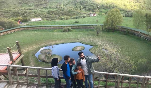 Bingöl’ün doğa harikası yüzen adalar yaz aylarıyla birlikte yeşile büründü