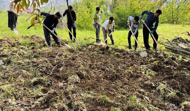 Derecik’te köylülerin imece usulü bağ çapalama mesaisi