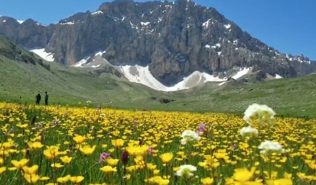 Doç. Dr. Paksoy, “Tunceli’nin biyoçeşitliliği aşırı otlatma tehdidi altında”