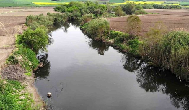 Gönen Çayı’nda kirlilik: Toplu balık ölümleri yaşandı