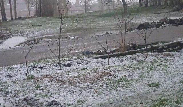 Iğdır’ın yüksek kesimleri dolu ile beyaza büründü