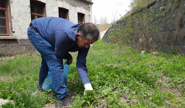 Kars’ta ısırgan otu toplanmaya başladı