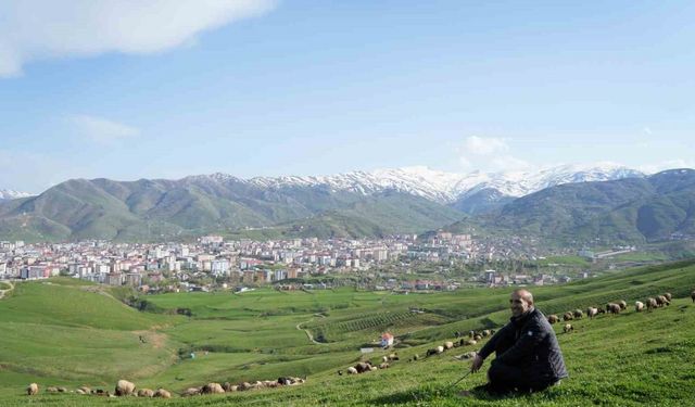 Kavalsız kaval sesi çıkarıyor