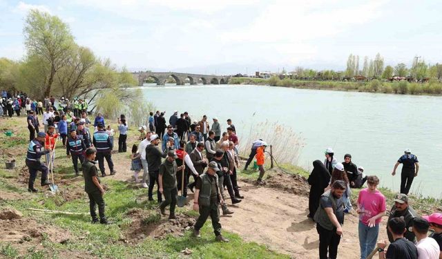 Muş’ta 270 çam ağacı toprakla buluşturuldu