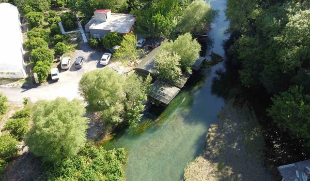 Portakal Çiçeği Karnavalı coşkusu Kozan’ı da sardı