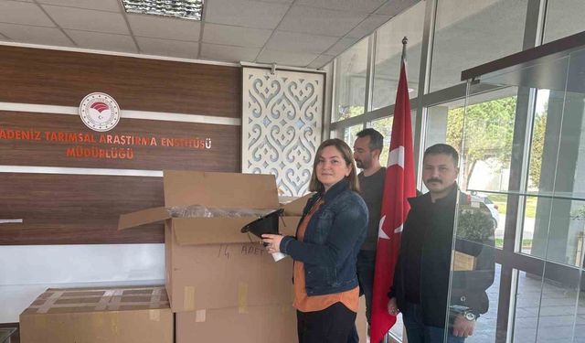 Samsun’da ‘kahverengi kokarca’ ile mücadele: 250 tuzak dağıtıldı