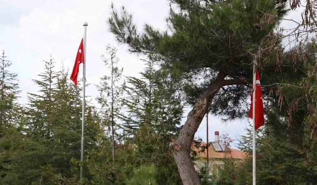 Şehit mezarlarında ’Türk bayrağı yok’ iddiası yalan çıktı