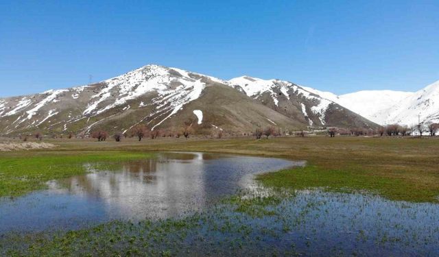 Tatvan’da tarım arazileri suya gömüldü