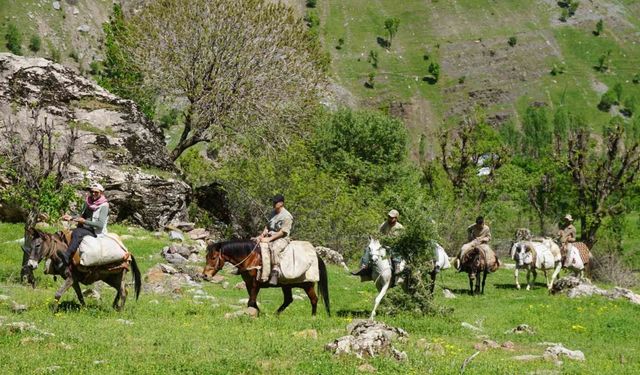 Terörden temizlenen dağlarda yetişen otlar adeta şifa deposu