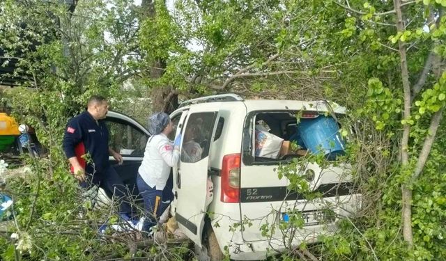 Tokat’ta virajı alamayarak ağaca çarparak durabildi