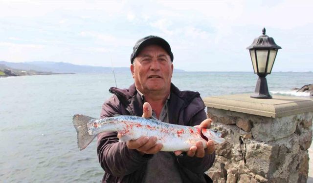 Trabzon’un Çarşıbaşı ilçesi açıklarında somon kafesleri yırtıldı, oltasını alan sahile koştu