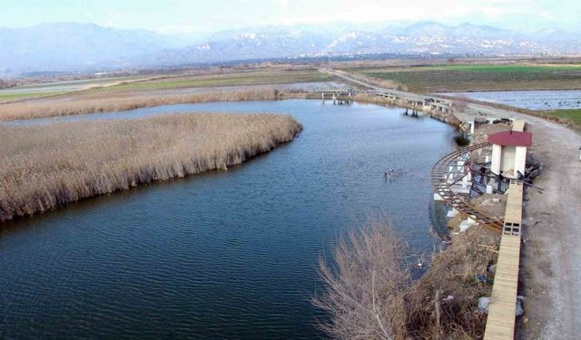 Turba çıkarım faaliyetleri için yönetmelikte değişikliğe gidilecek