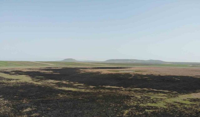 Türkiye’nin 13. Ramsar alanıydı çöle döndü